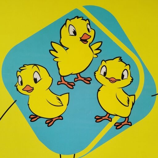 asociación amigo de los pollitos